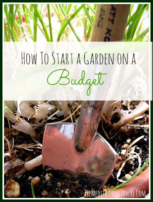 12 Garden Decor Tips And Garden Hacks To Turn You Into A Gardening Expert