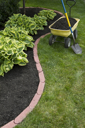 Give Your Backyard A Complete Makeover With These Fun And Easy Ideas