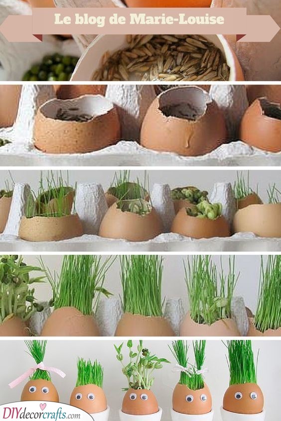 Herb Planters - Creative and Innovative