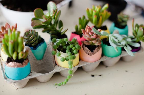 Succulents in Easter Eggs - Easter Crafts for Adults