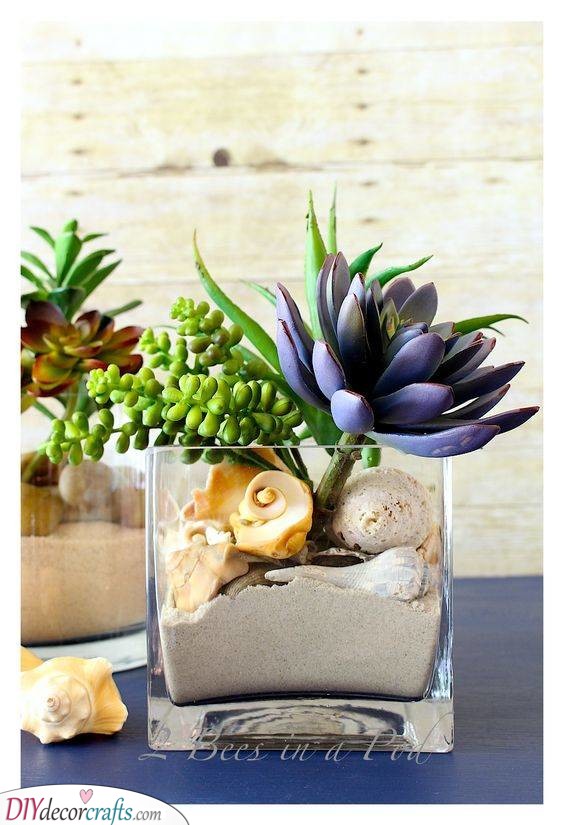 Succulents and Shells - Mother Nature's Gifts