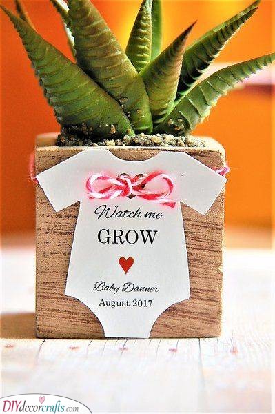 Watch It Grow - Baby Shower Gift Ideas for Guests