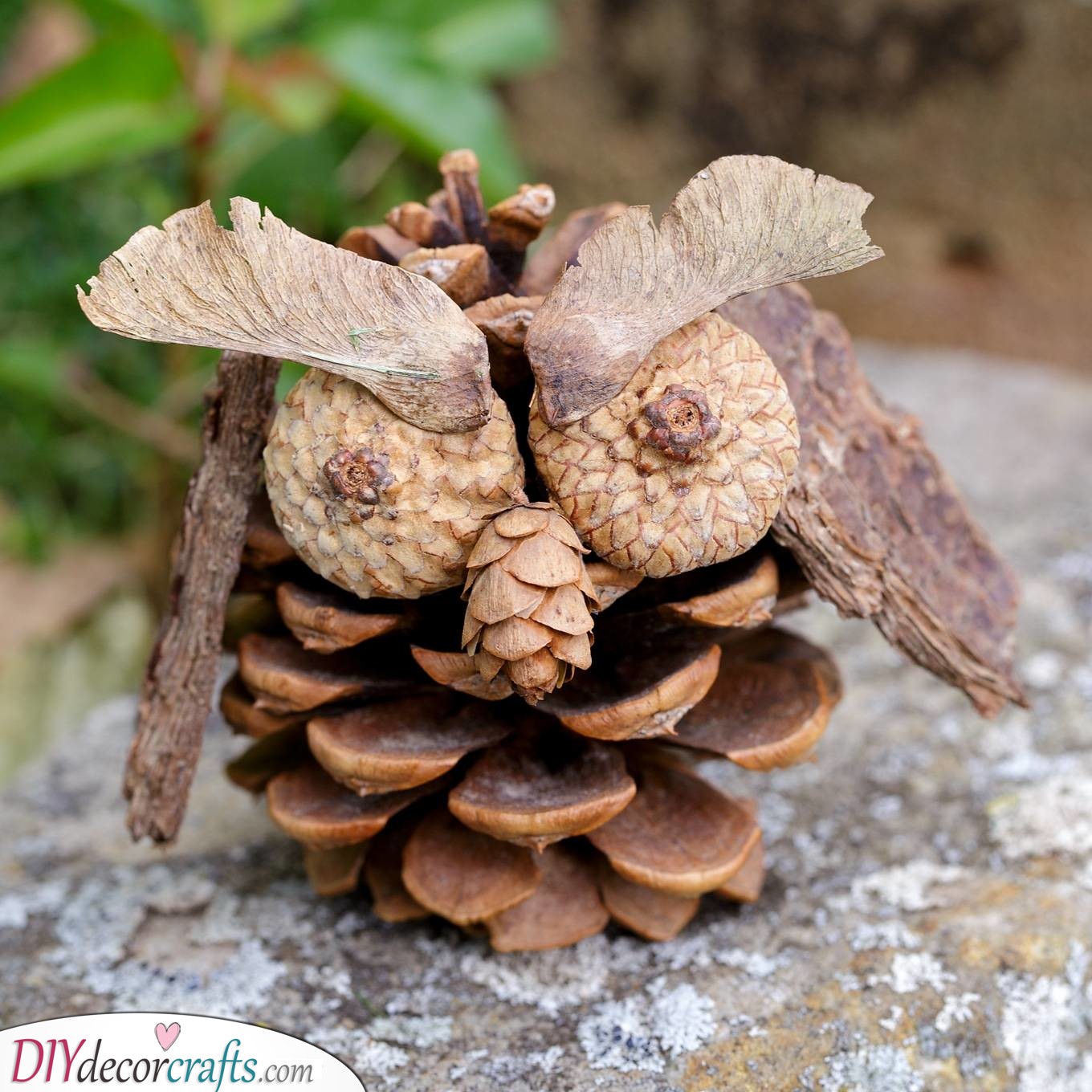 Pine Cone Owl - Fall Crafts for Toddlers