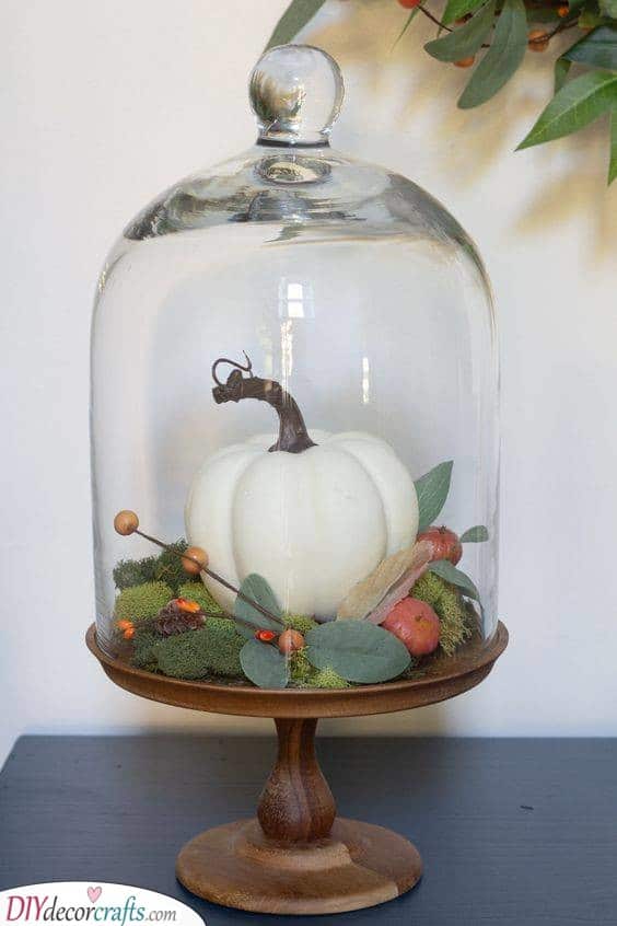 Inside a Glass Dome - Halloween Pumpkin Decorations