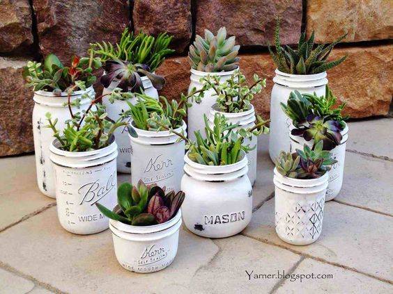 Cute Pot Plants - The Perfect Planters
