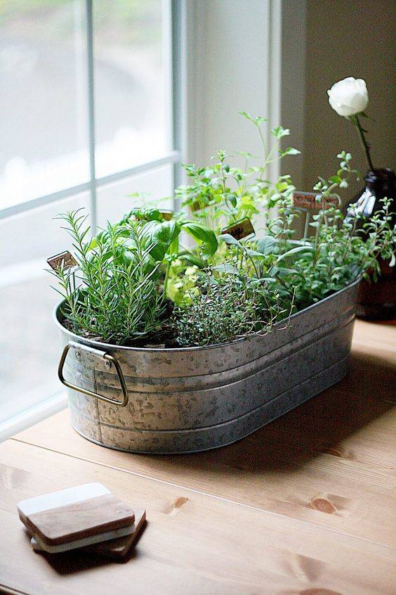 Indoor Herb Gardens - Best Herb Planters for Kitchens