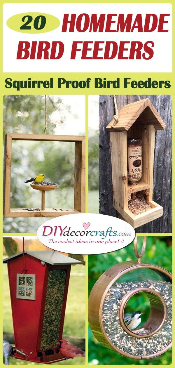 20 HOMEMADE BIRD FEEDERS - Squirrel Proof Bird Feeders