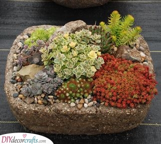 Growing in Containers - Rock Garden Ideas